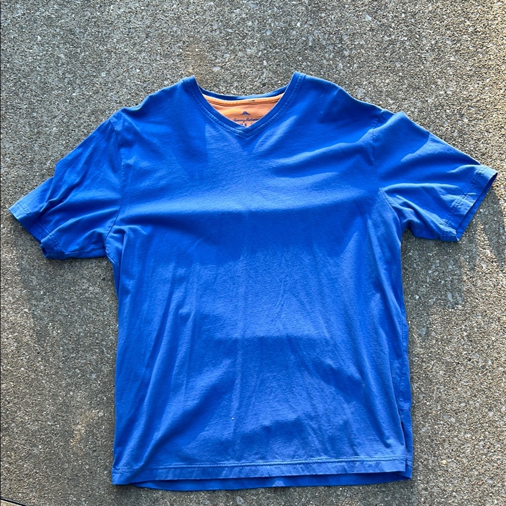 Men's Blue V-Neck Shirt